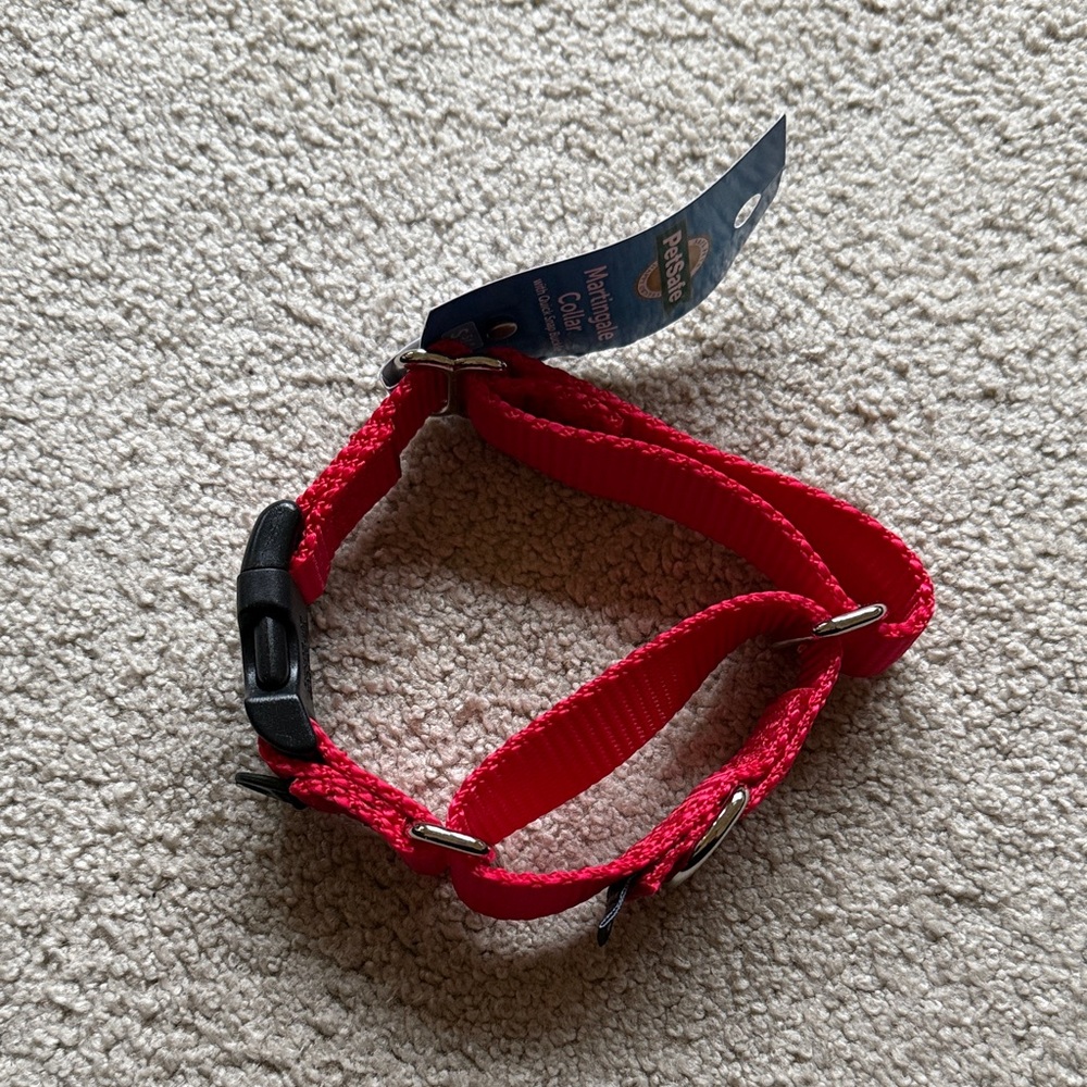 Martingale Red Dog Collar with Adjustable Buckle